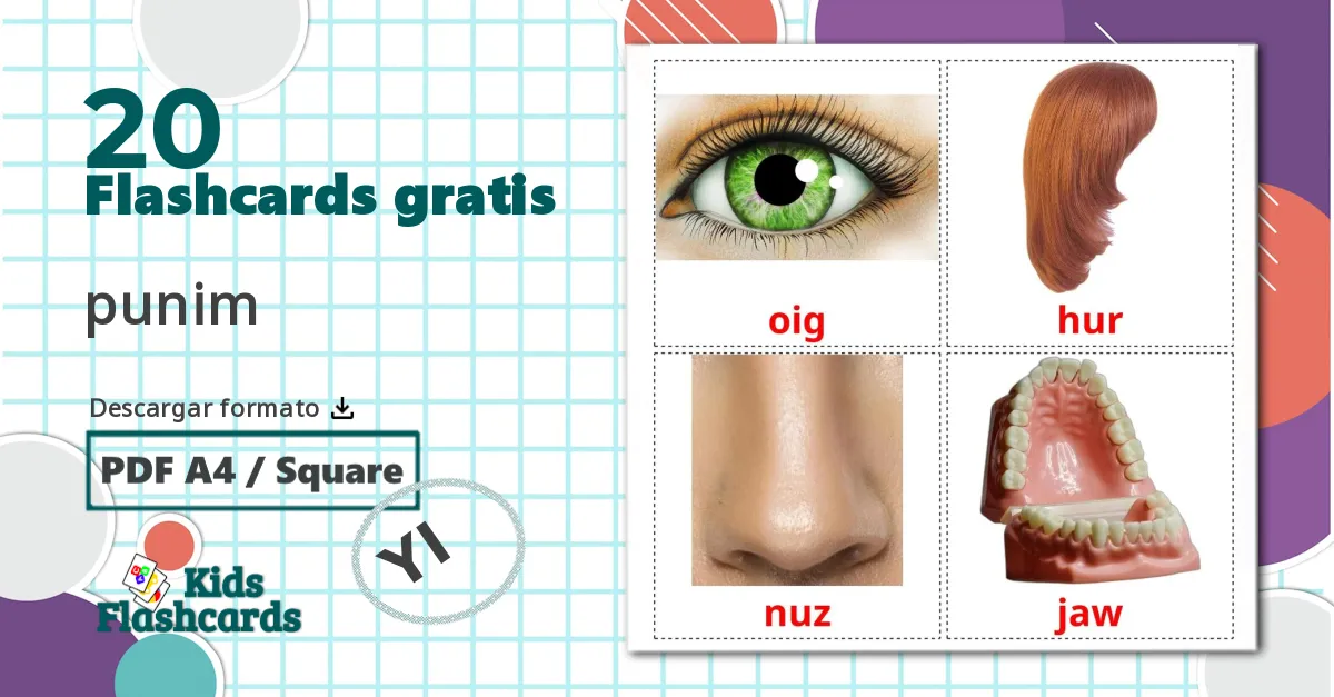 20 tarjetas didacticas de Partes de la Cara
