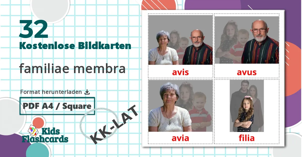 32 Bildkarten für Dschungel Tiere