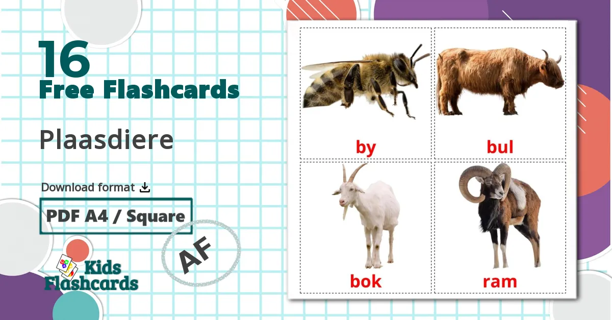 Farm animals - afrikaans vocabulary cards