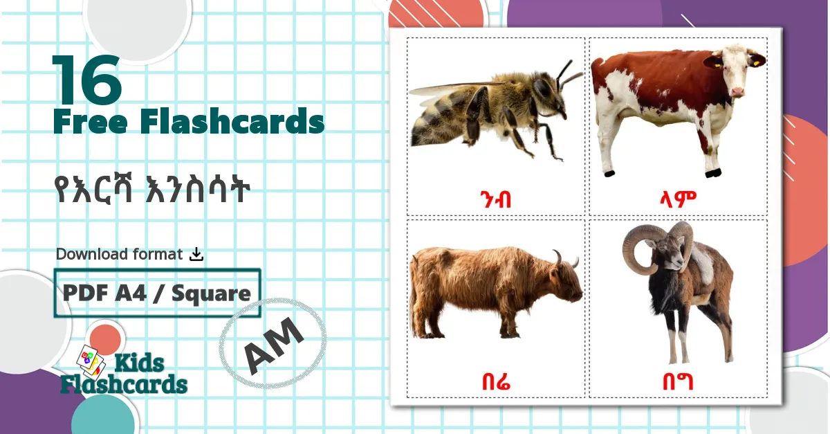 Farm animals - amharic vocabulary cards