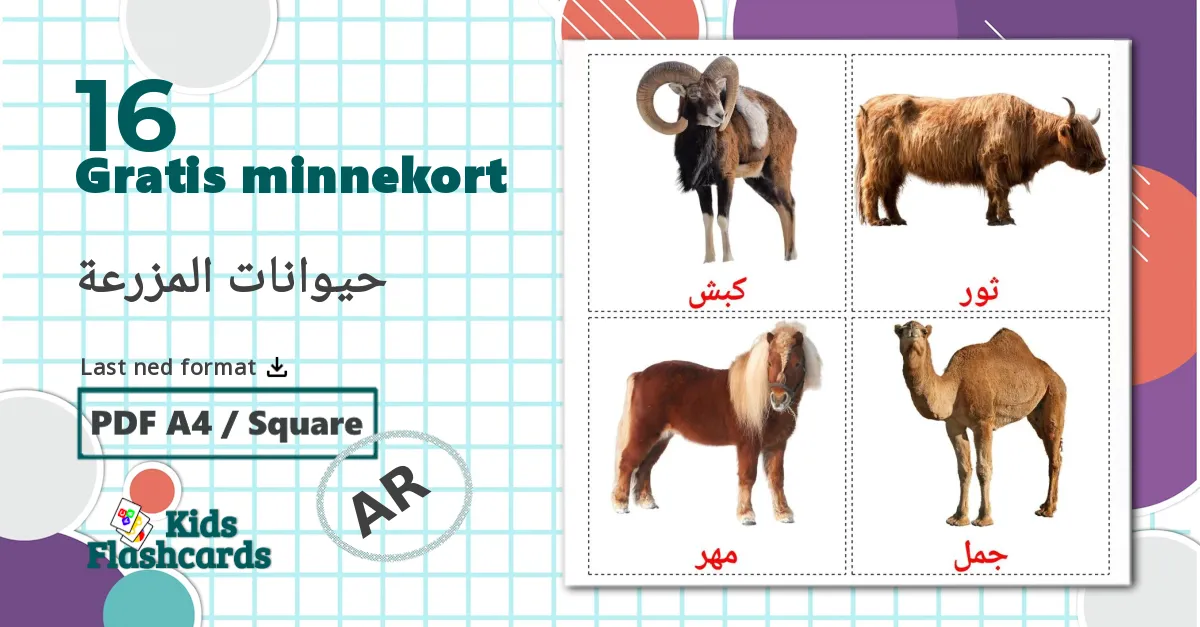 Gårdsdyr - Ordforrådskort for arabisk