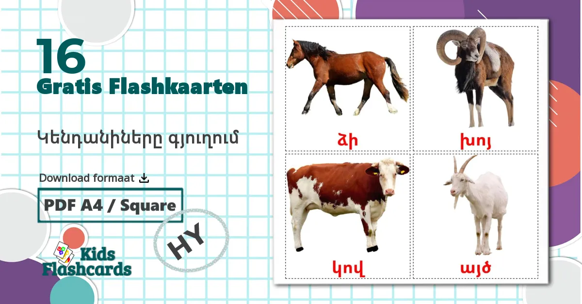 16 Boerderijdieren flashcards