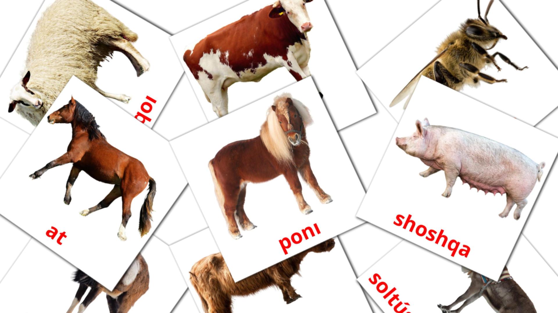 Farm animals - azerbaijani vocabulary cards