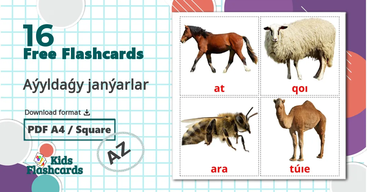 16 Aýyldaǵy janýarlar  flashcards