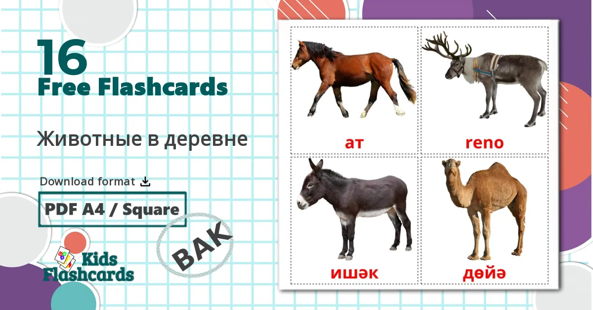 16 Farm animals flashcards