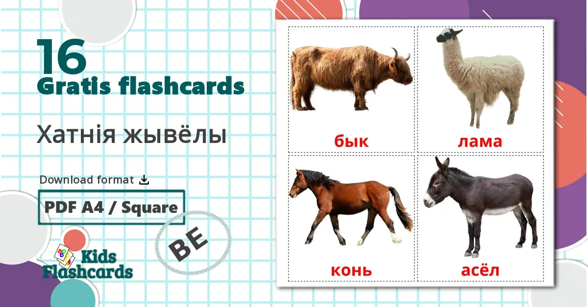 16 Хатнія жывёлы billedkort for børn