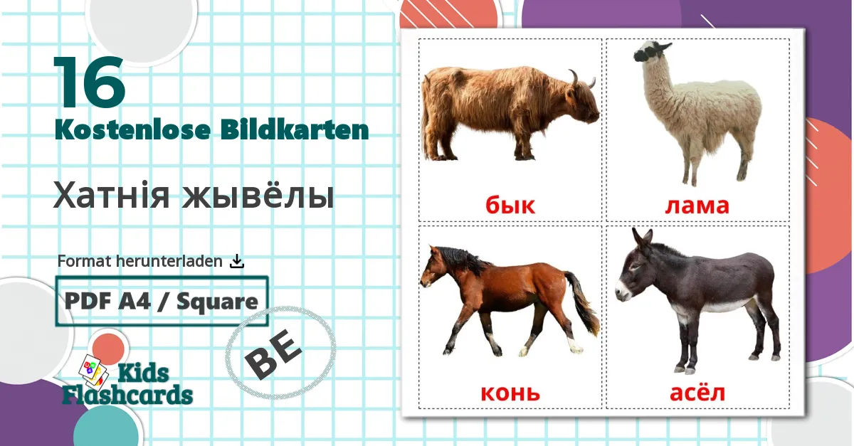 16 Bildkarten für Хатнія жывёлы