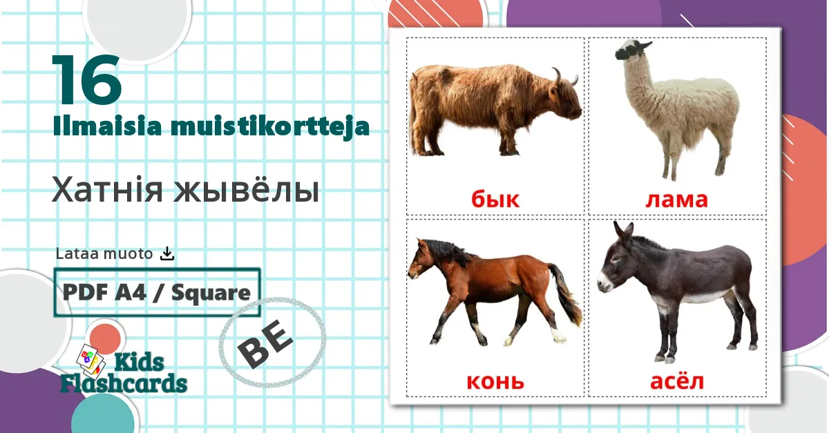 16 Хатнія жывёлы  lasten kuvakortit