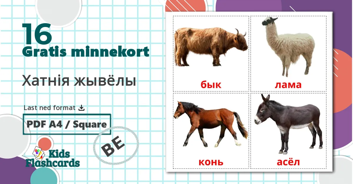 16 Хатнія жывёлы  bildekort