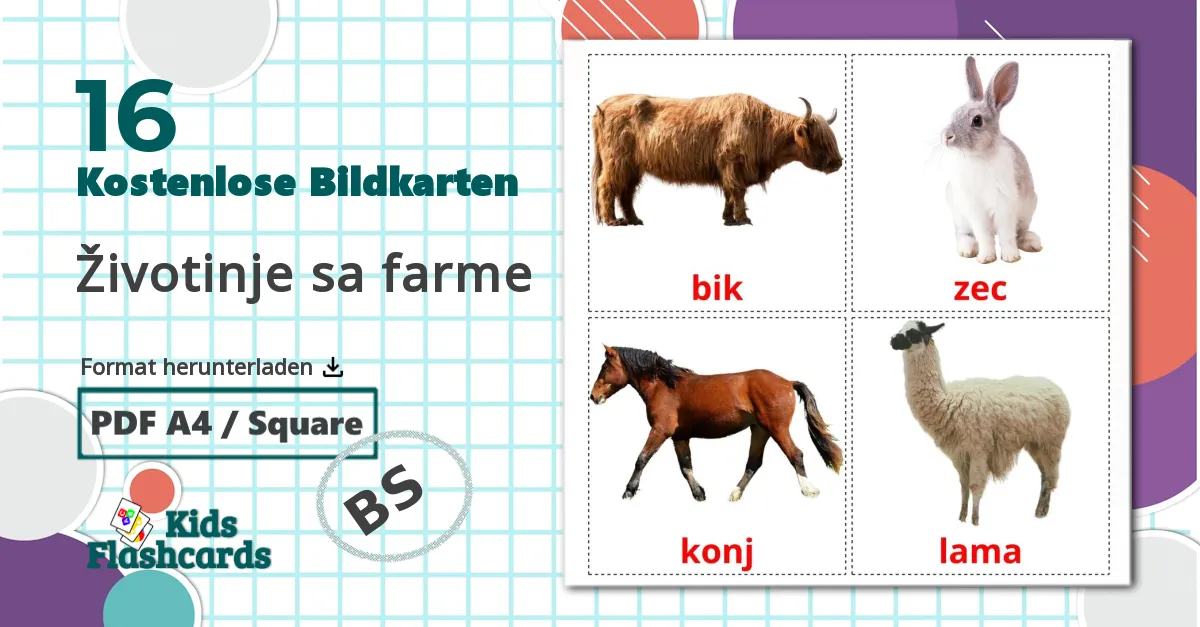 16 Bildkarten für Životinje sa farme