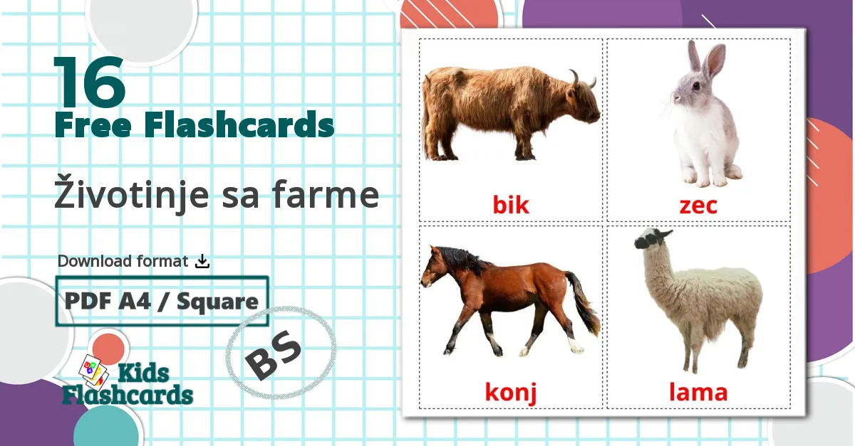 16 Životinje sa farme flashcards