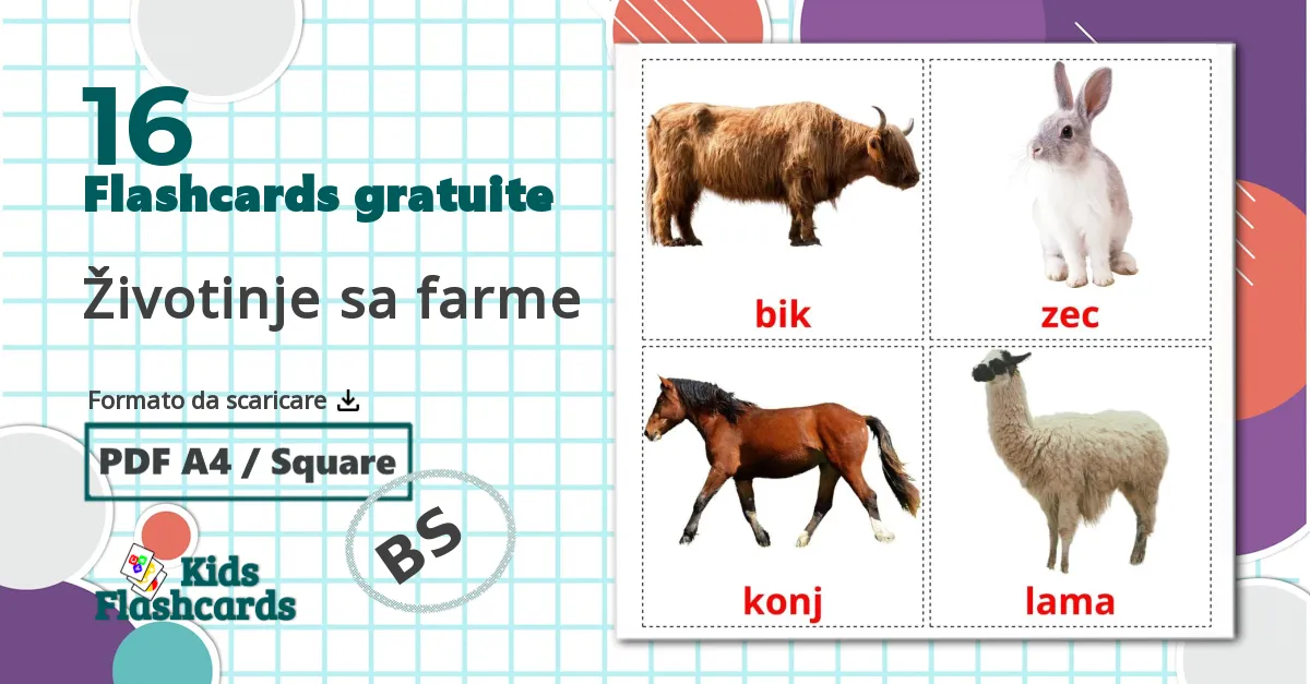 16 flashcards di Životinje sa farme