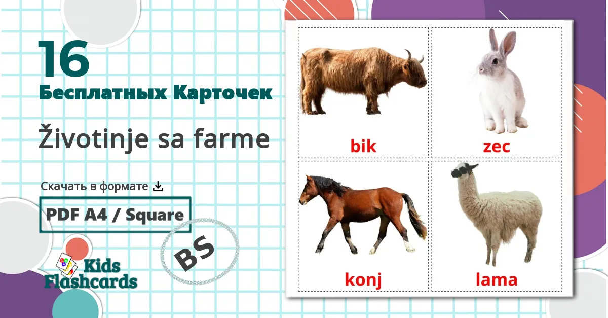 16 Карточки Домана Životinje sa farme