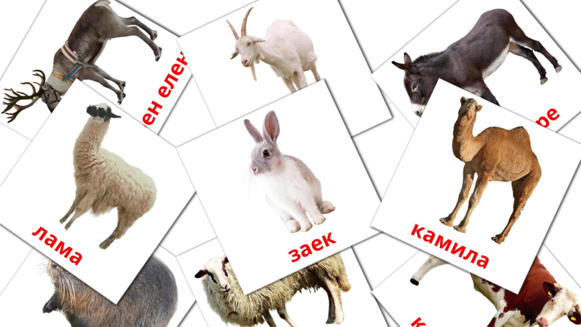 tarjetas didacticas de Фермески животни 
