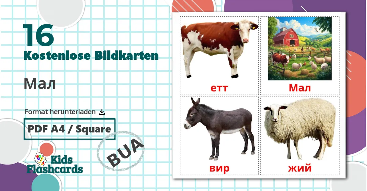 16 Bildkarten für Мал