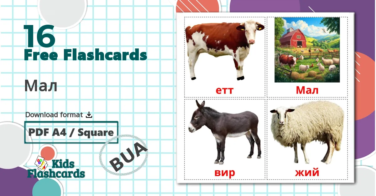 16 Farm animals flashcards