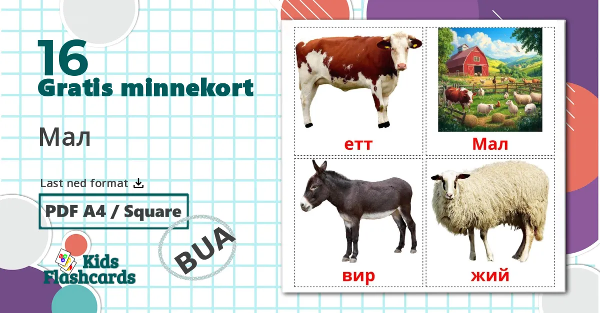16 Мал bildekort