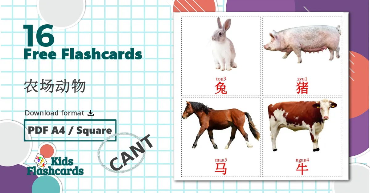 16 State verbs flashcards