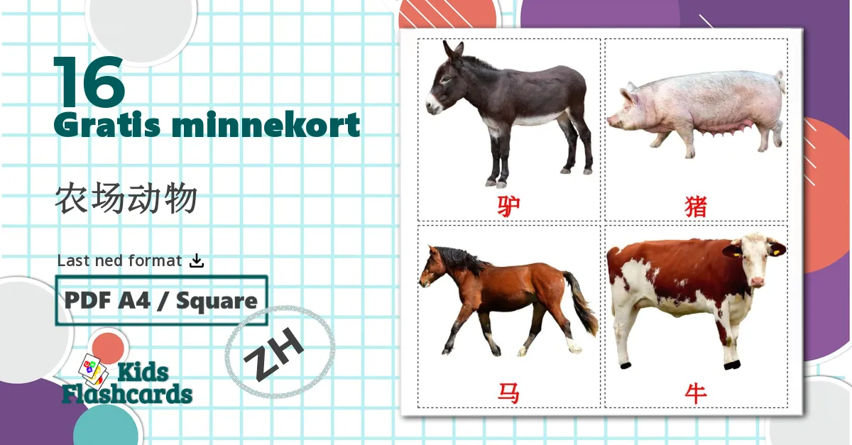 16 农场动物 bildekort