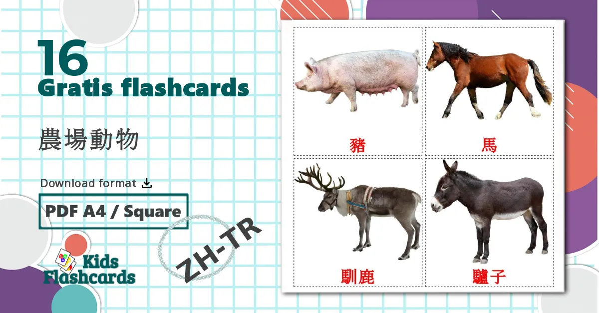 16 農場動物 billedkort for børn
