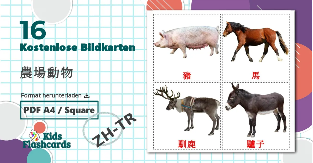 16 Bildkarten für 農場動物