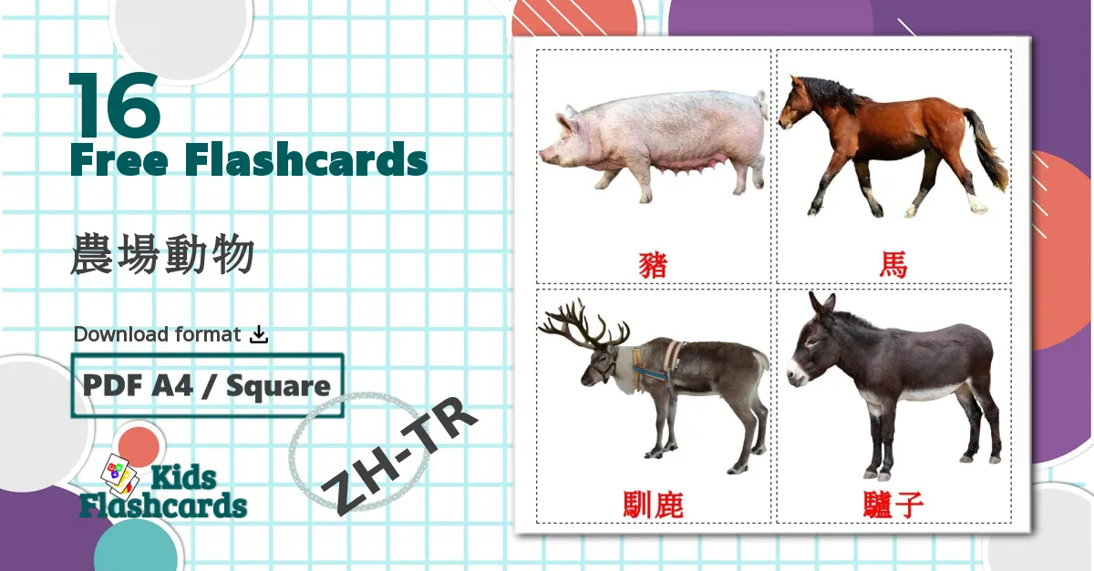 16 農場動物 flashcards