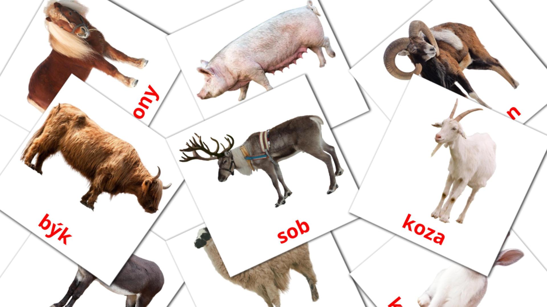 Bildkarten für Hospodářská zvířata