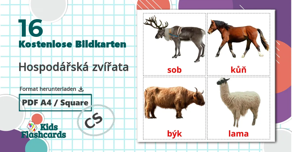 16 Bildkarten für Hospodářská zvířata