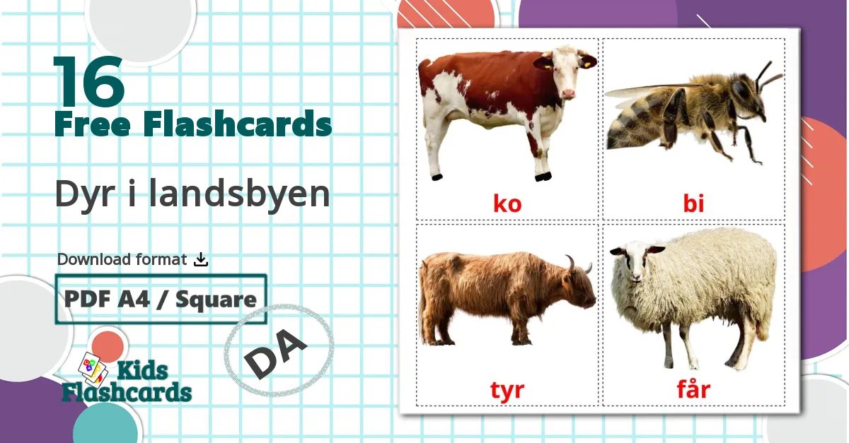 16 Dyr i landsbyen flashcards