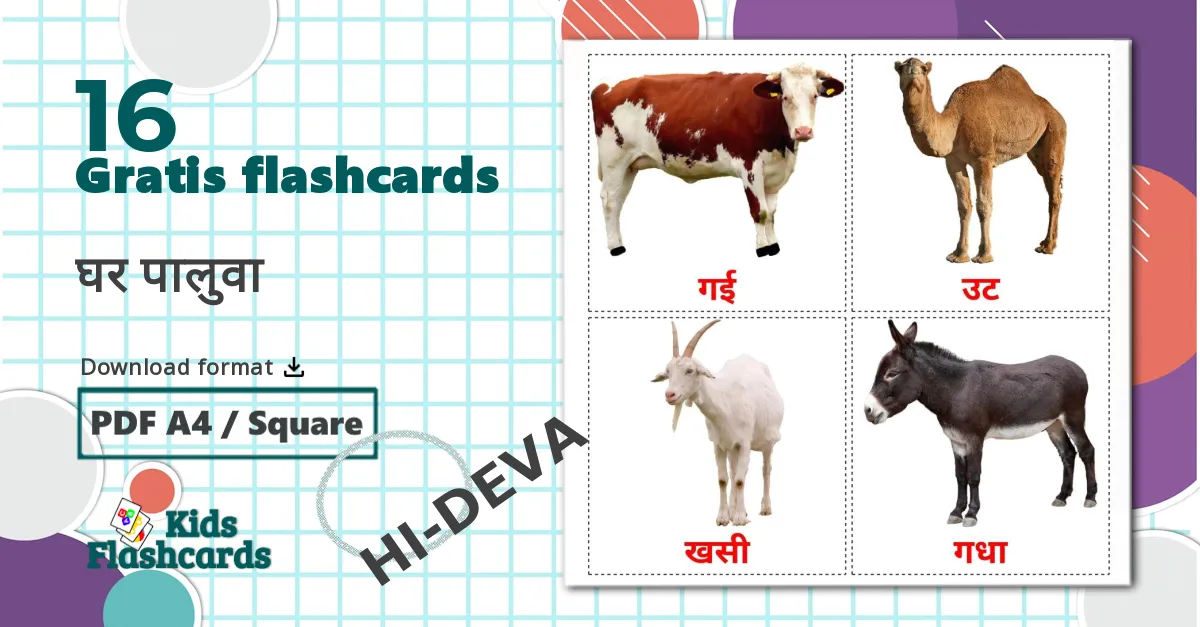 16 घर पालुवा billedkort for børn