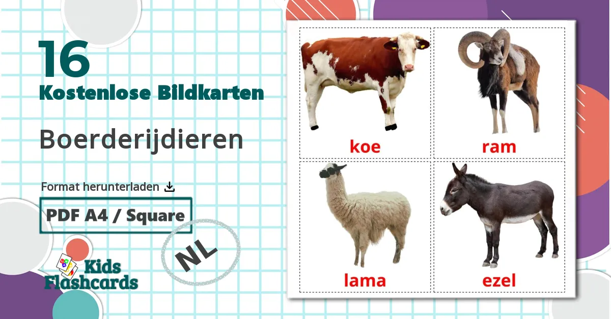 16 Bildkarten für Boerderijdieren