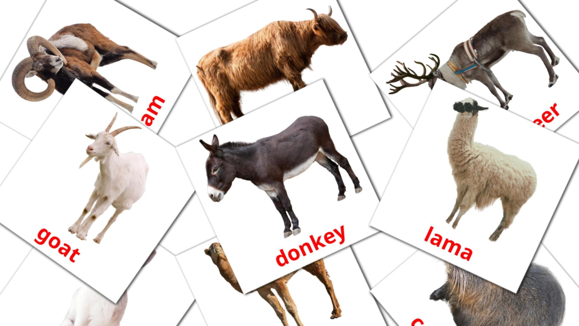 tarjetas didacticas de Animales en la Granja