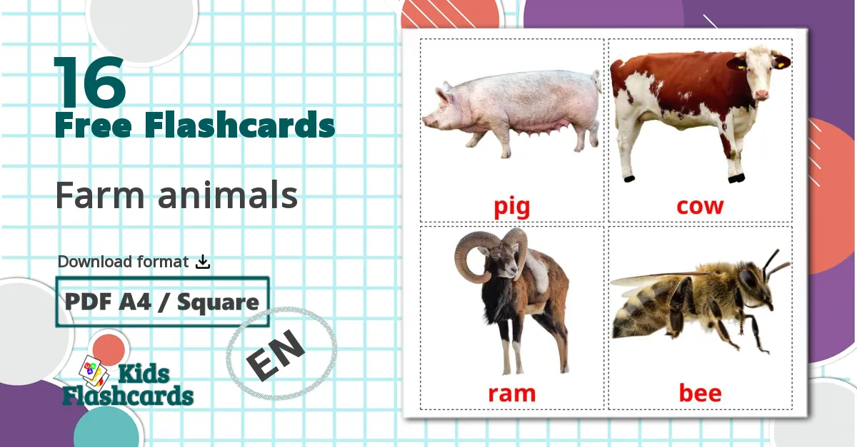 16 Farm animals flashcards