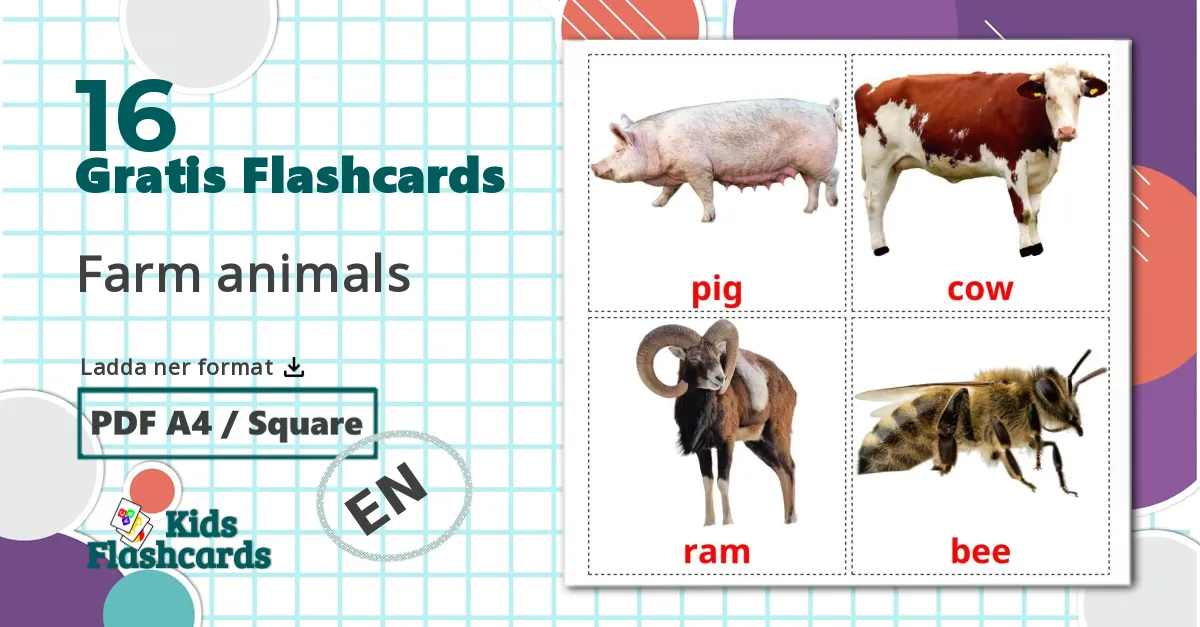 16 Farm animals bildkort för barn