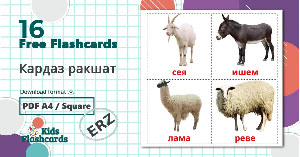 16 Кардаз ракшат flashcards