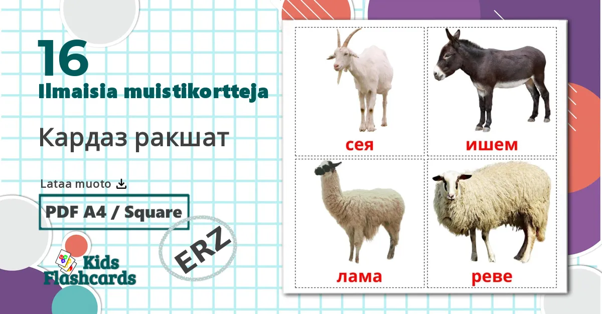 16 Кардаз ракшат lasten kuvakortit