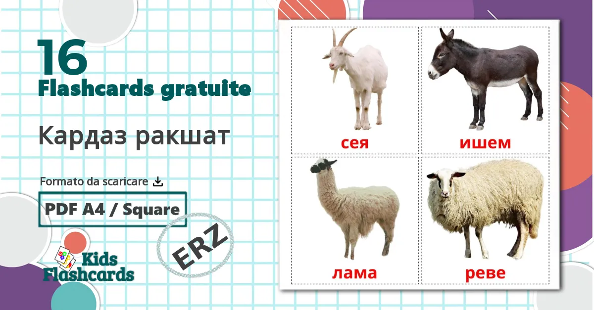 16 flashcards di Кардаз ракшат