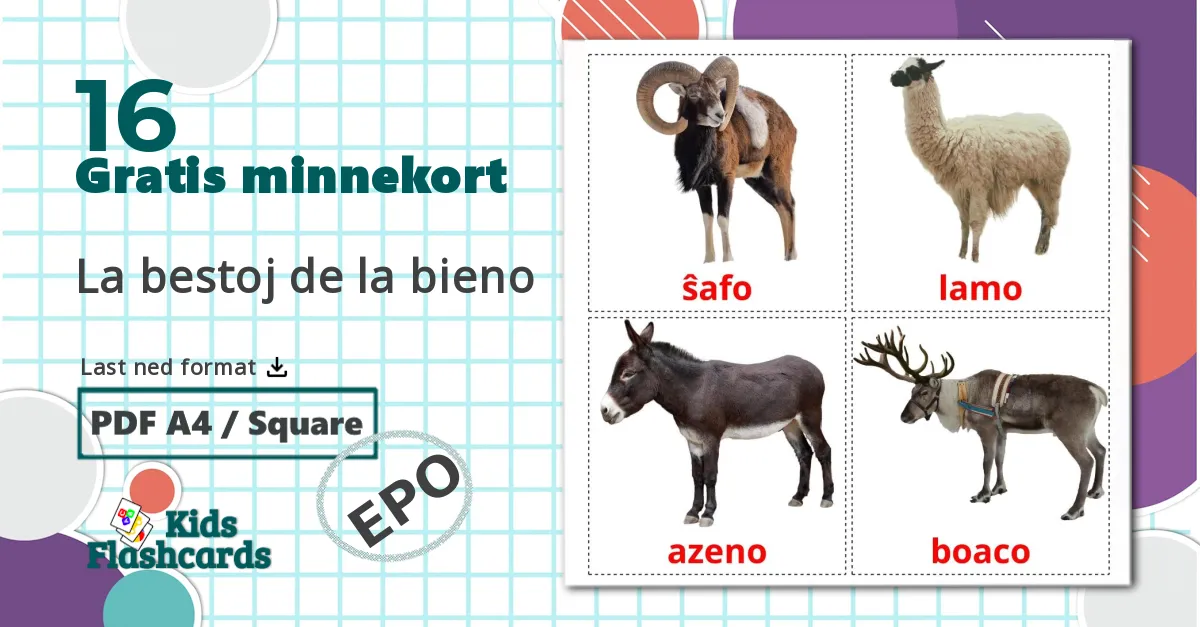 16 Gårdsdyr bildekort