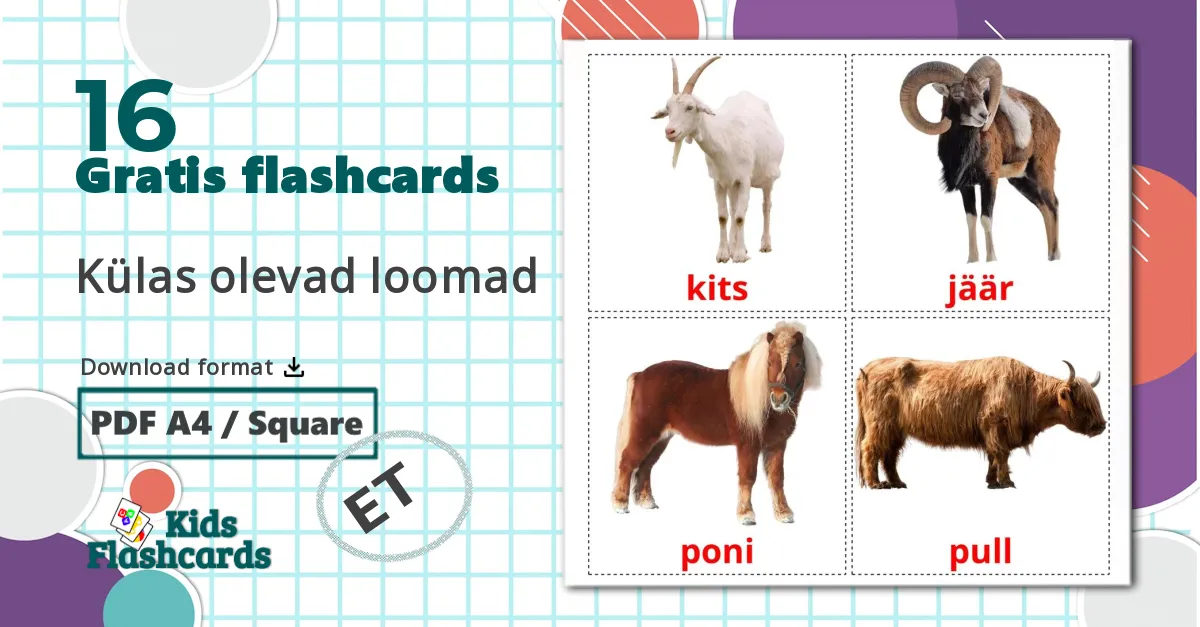 16 Külas olevad loomad billedkort for børn