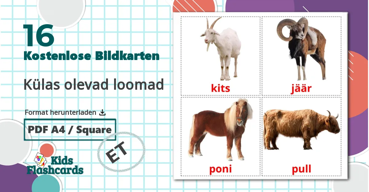 16 Bildkarten für Külas olevad loomad