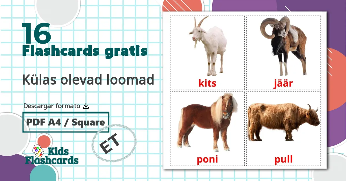 16 tarjetas didacticas de Külas olevad loomad