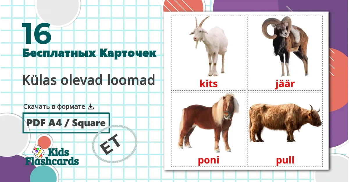 16 Карточки Домана Külas olevad loomad