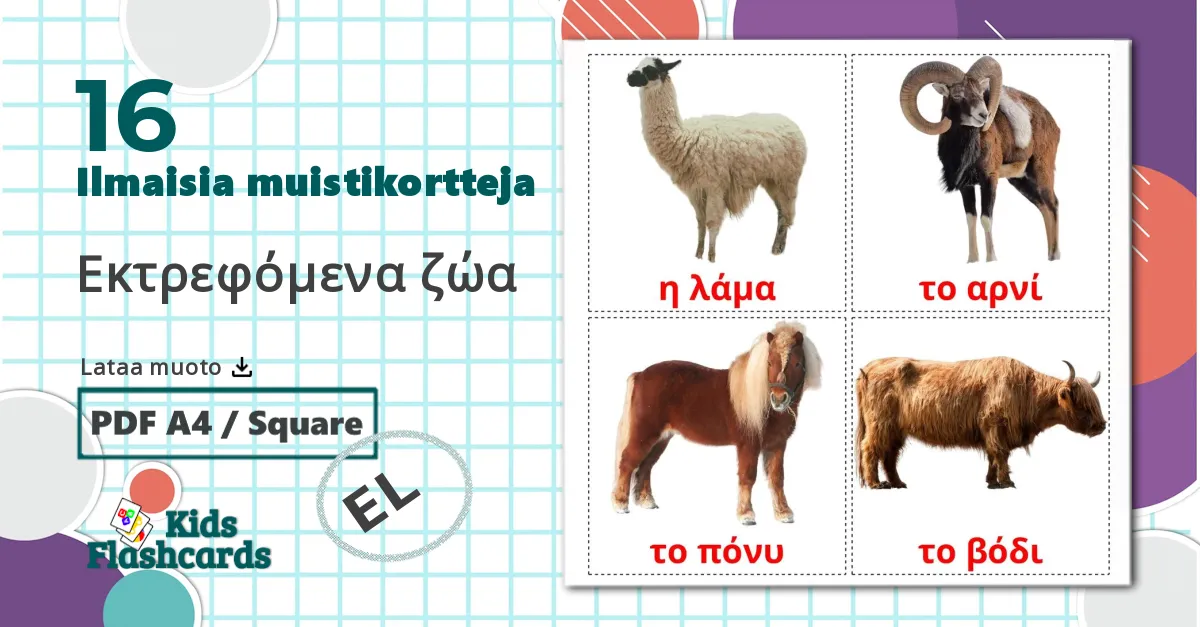 16 Εκτρεφόμενα ζώα  lasten kuvakortit