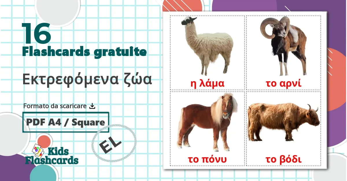 16 flashcards di Εκτρεφόμενα ζώα