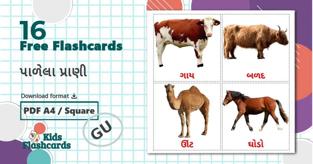 16 Farm animals flashcards