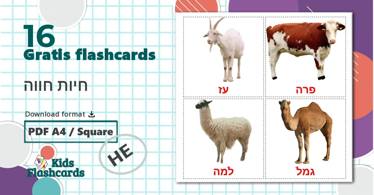 16 חיות חווה billedkort for børn