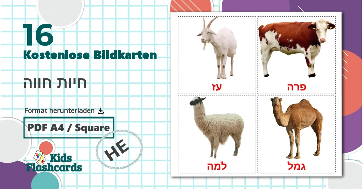 16 Bildkarten für חיות חווה