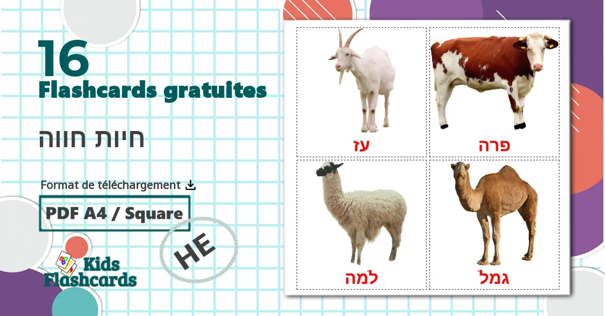 16 Imagiers חיות חווה