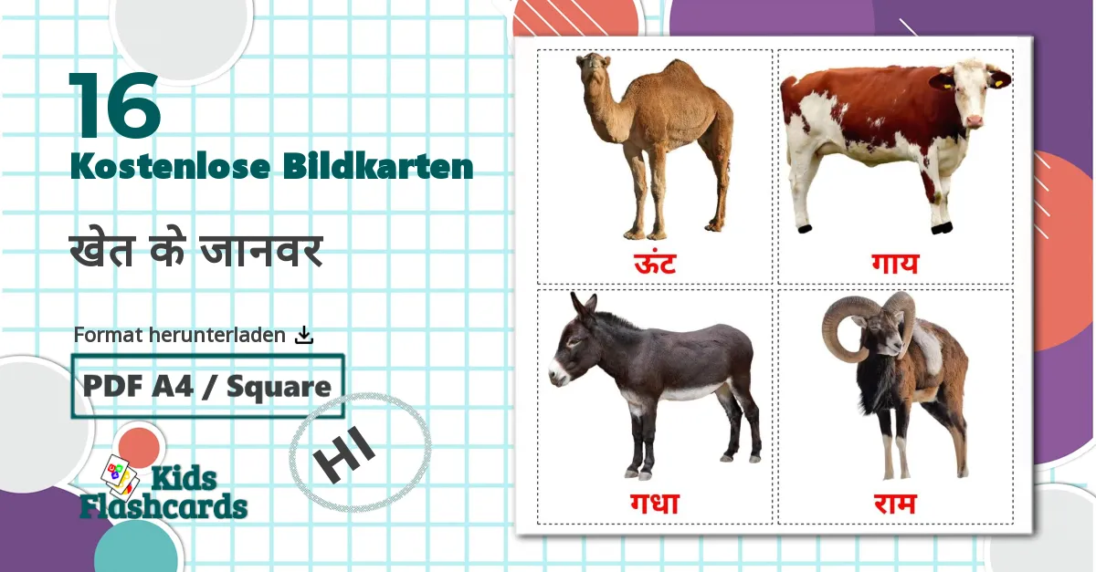 16 Bildkarten für खेत के जानवर