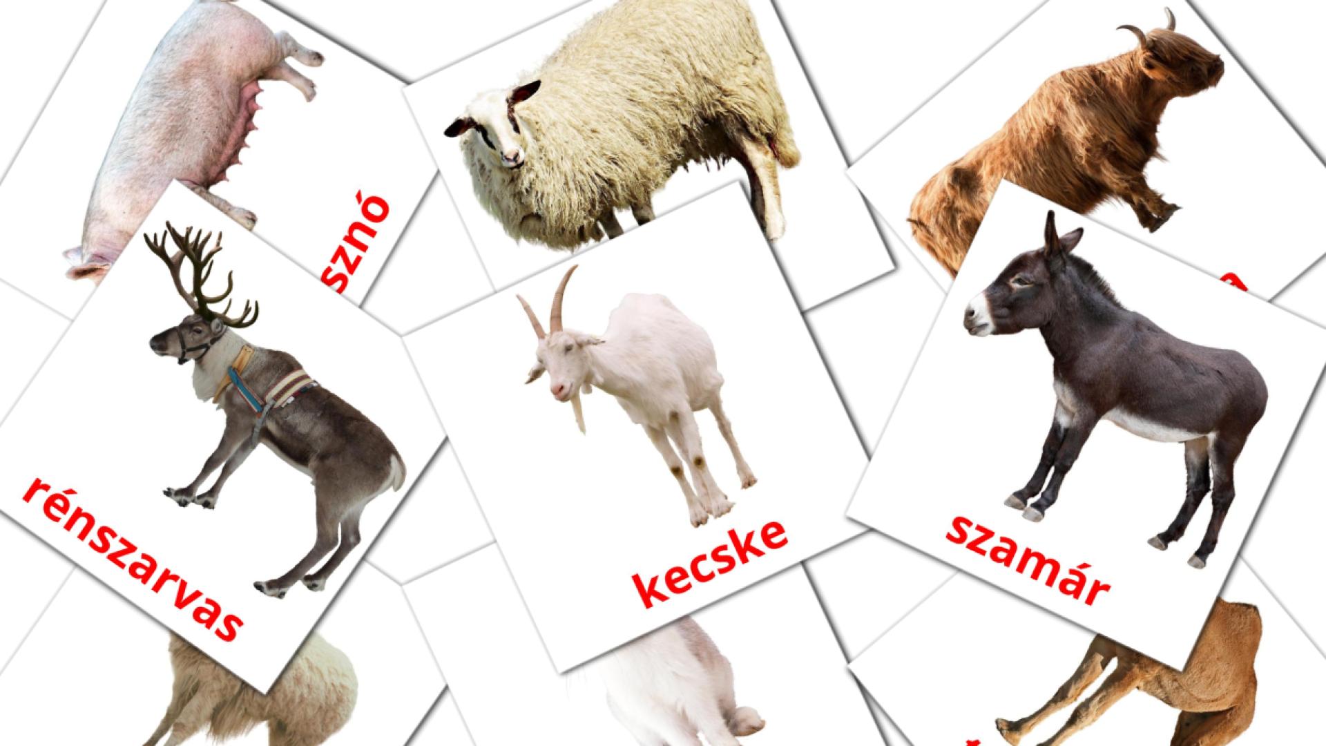 tarjetas didacticas de Farm állatok
